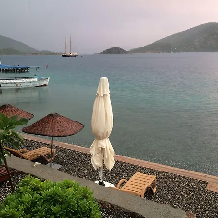Veranda 3*